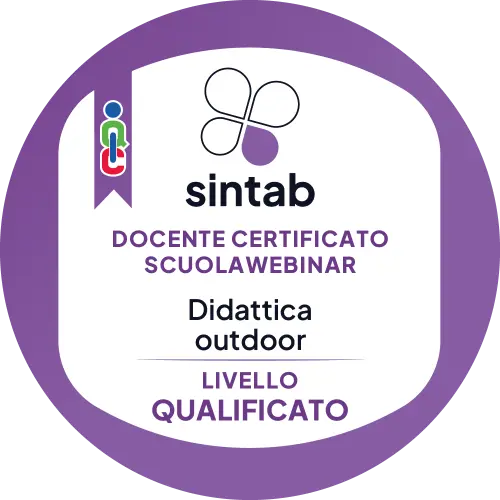 Badge pubblico 47541